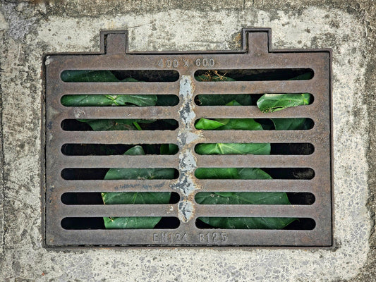 Que Mettre au Fond des Jardinières : Le Guide Essentiel du Drainage