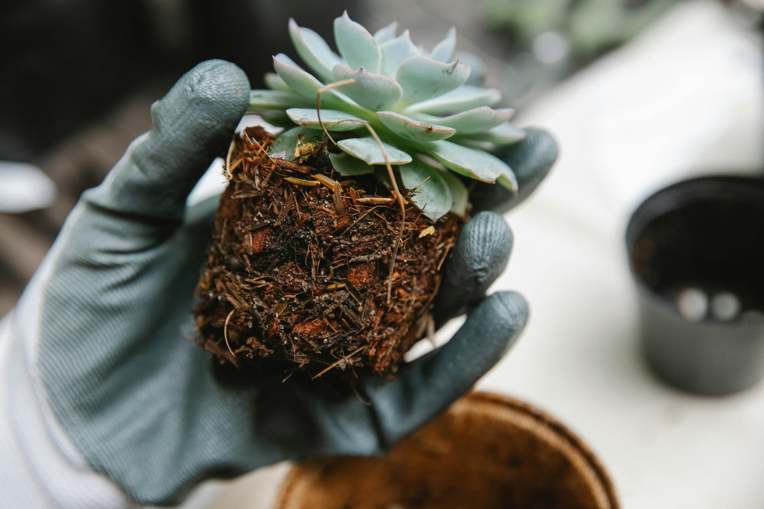 Que mettre au fond d’une jardinière en bois ? (Guide complet + erreurs à éviter)