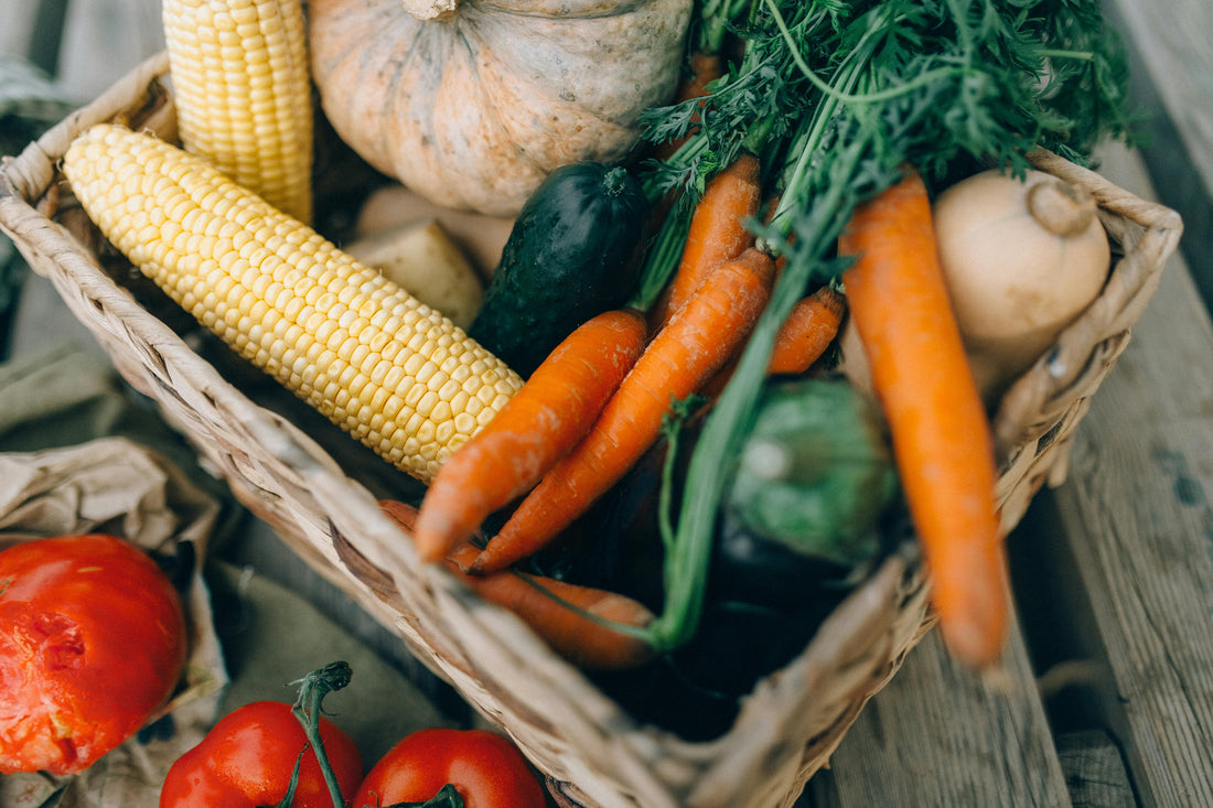 Quel Légume en Jardinière : Guide Complet du Potager en Pots