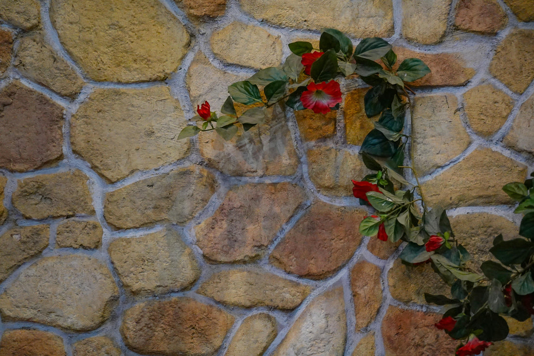 Comment Faire un Mur Végétal Intérieur Soi-Même : Guide Complet DIY