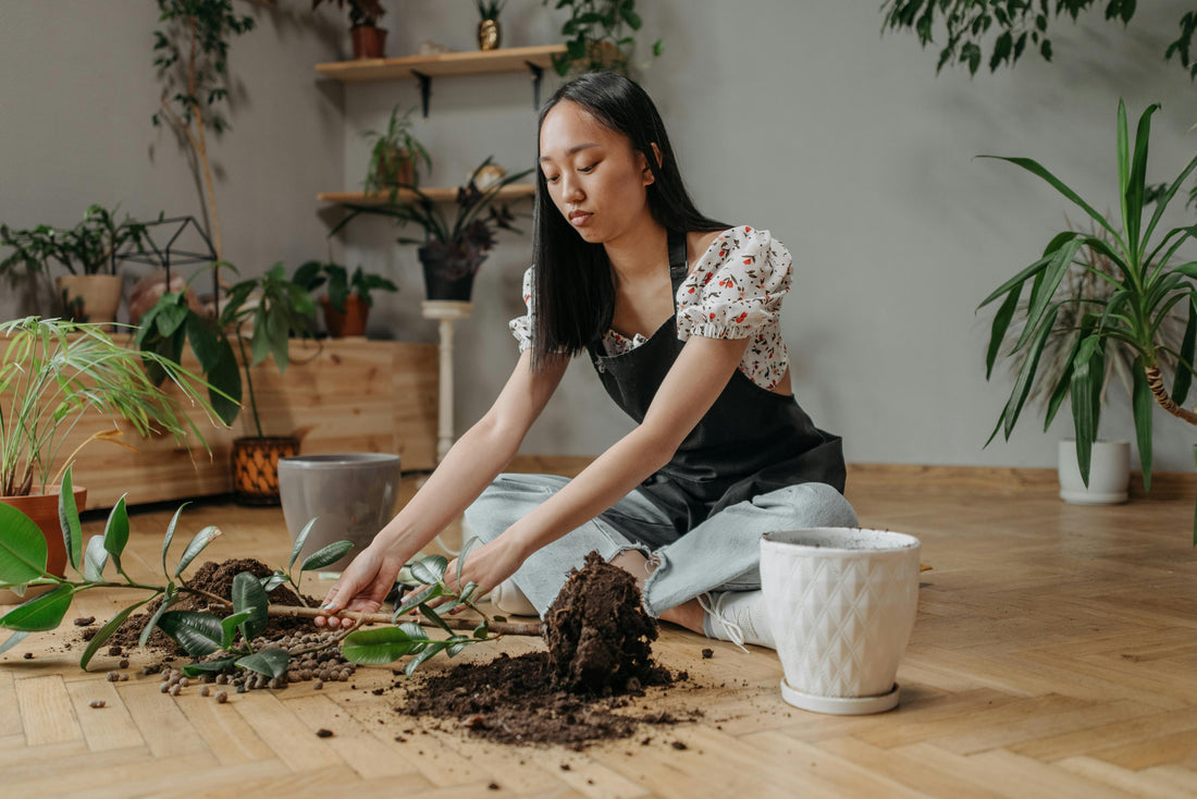 Quel Terreau pour Jardinière : Guide Complet pour Plantations Réussies
