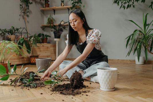 Quel Terreau pour Jardinière : Guide Complet pour Plantations Réussies