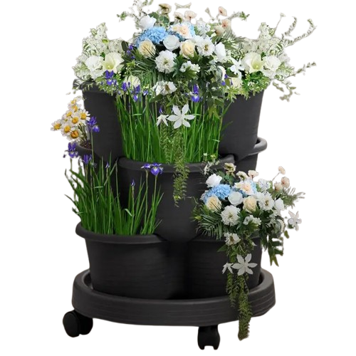 fraisier en jardiniere | Norvénis