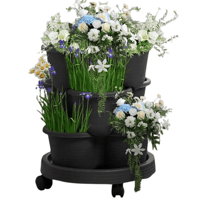 fraisier en jardiniere | Norvénis