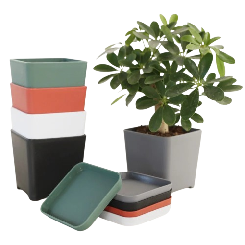 jardiniere carrée plastique | Thalior