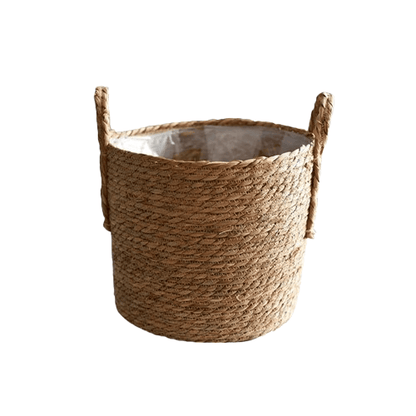 bambou en jardiniere | Loryal