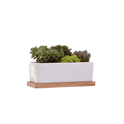 jardiniere rectangulaire en ceramique | Thalya