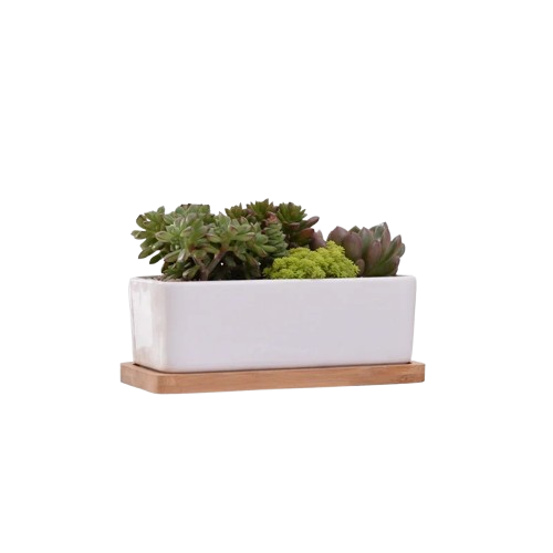 jardiniere rectangulaire en ceramique | Thalya