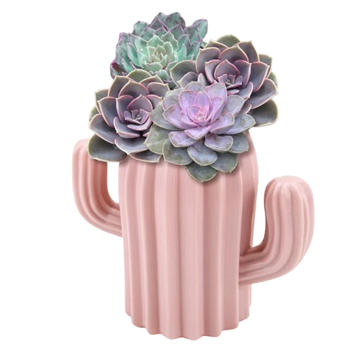 jardinieres en plastique | Arlenis