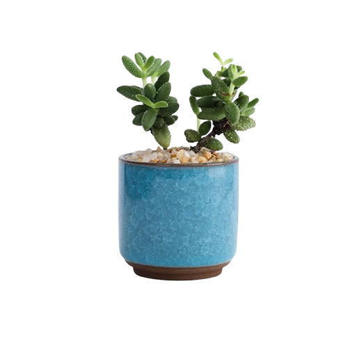 jardiniere pour terrasse bois | Valoryn