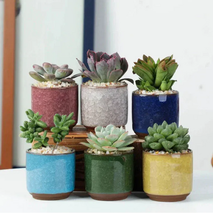 jardinière pour terrasse bois | Valoryn