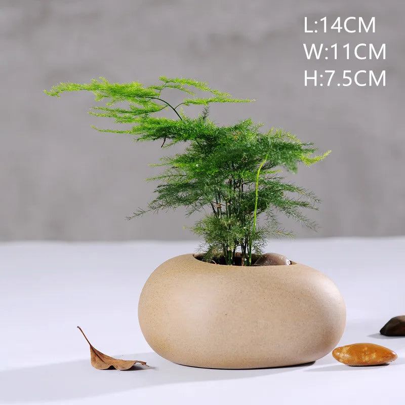 Mini Jardin Zen Galets | Calvénis