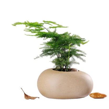 mini jardin zen galets | Calvénis