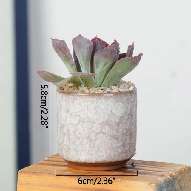 Jardinière pour terrasse en bois | Valoryn