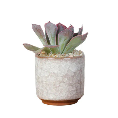 jardinière pour terrasse bois | Valoryn