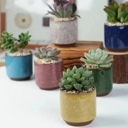 jardiniere ceramique | touche déco incontournable