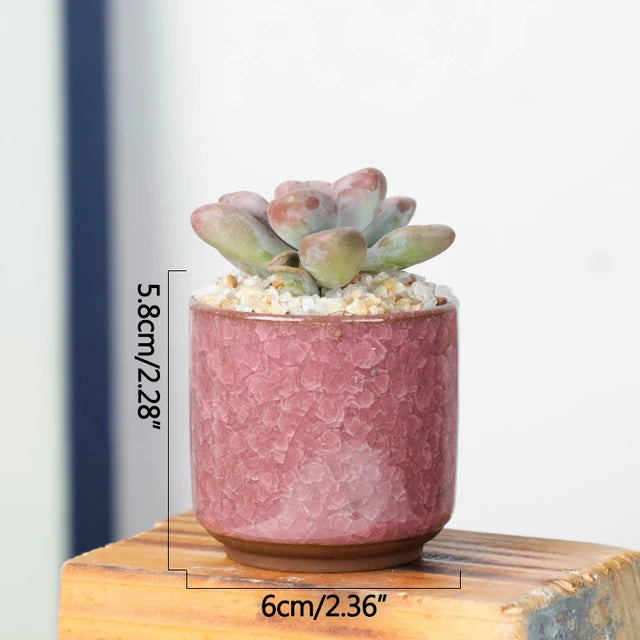 Jardinière pour terrasse en bois | Valoryn