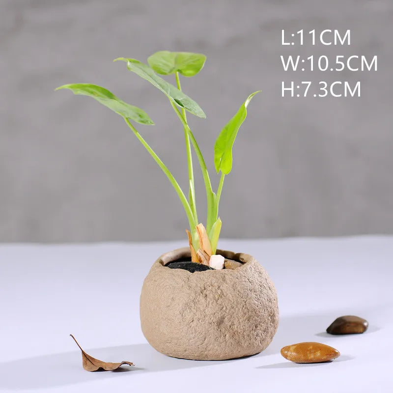 Mini Jardin Zen Galets | Calvénis