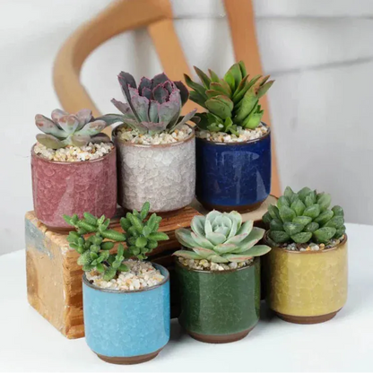 jardinière pour terrasse bois | Valoryn