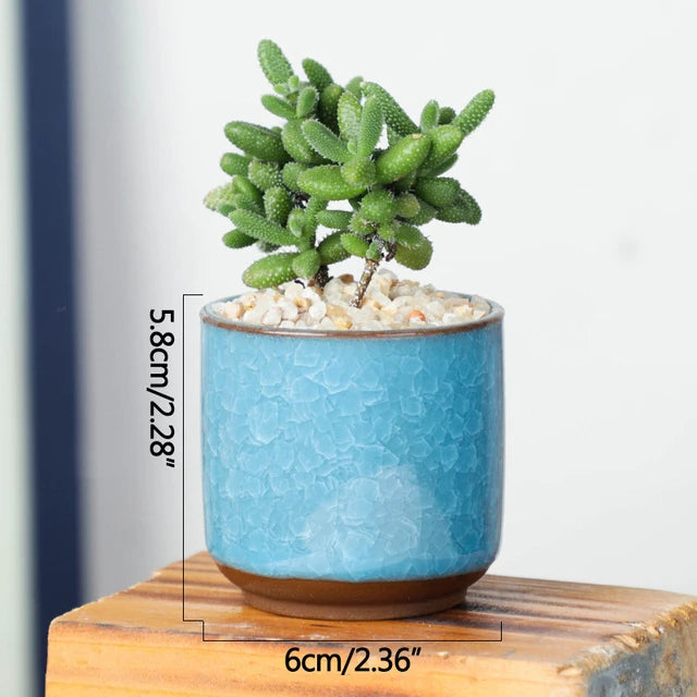 Jardinière pour terrasse en bois | Valoryn