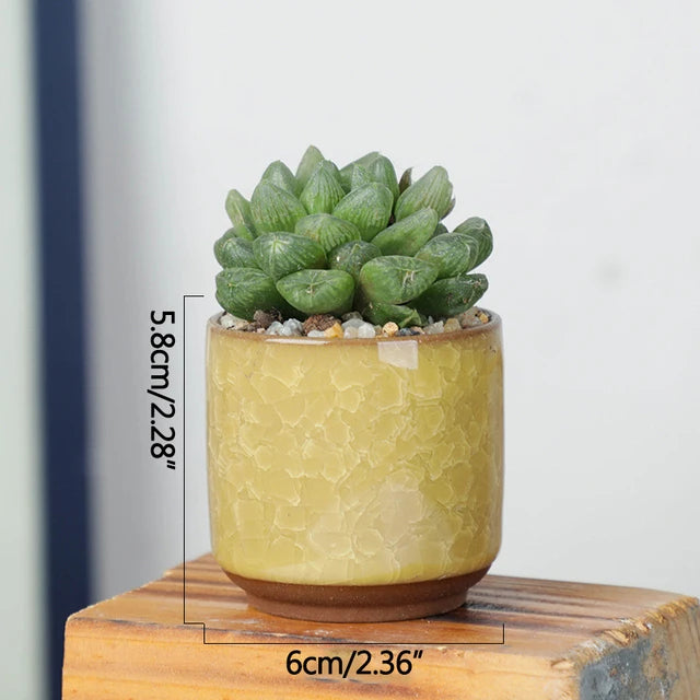 Jardinière pour terrasse en bois | Valoryn