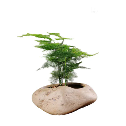 mini jardin zen galets | Calvénis