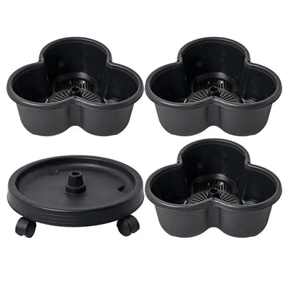 fraisier en jardinière | Norvénis