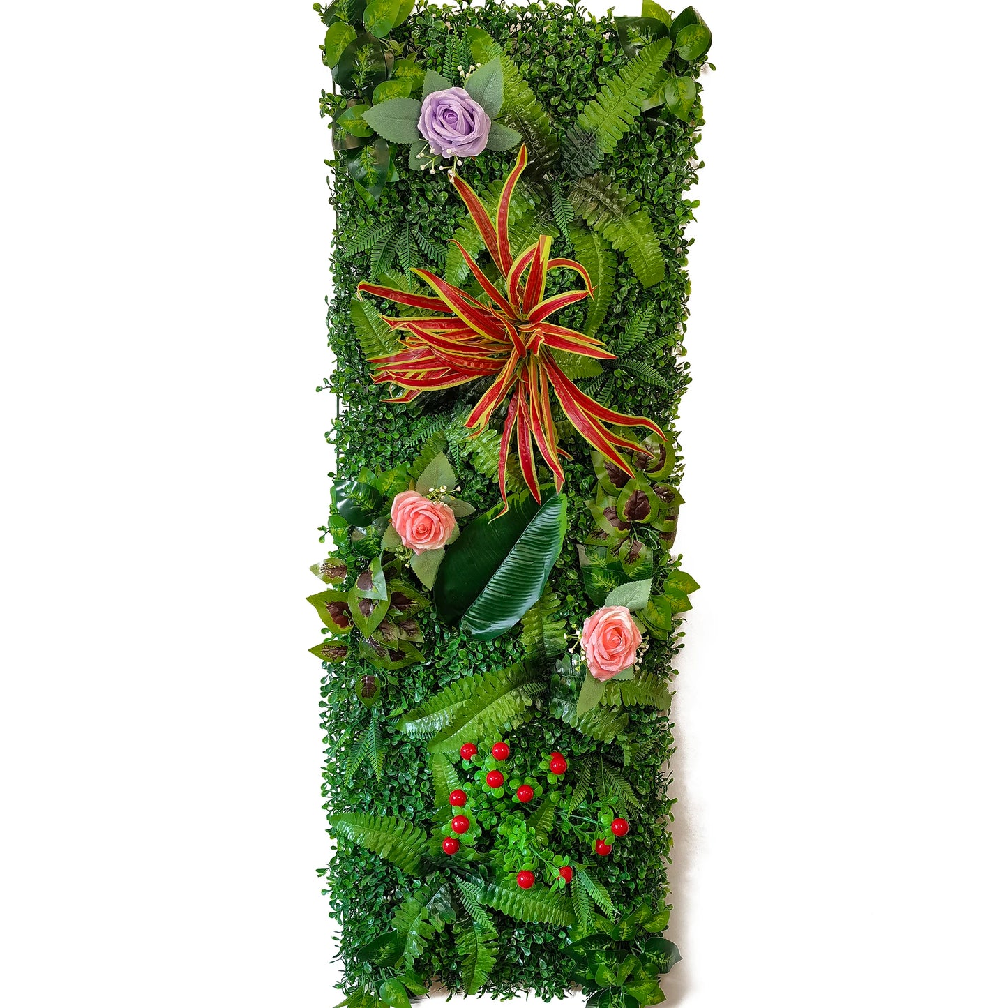 mur végétal extérieur terrasse | Zoryal