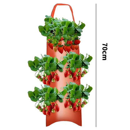 fraisiers en jardiniere polyvalente | Velora