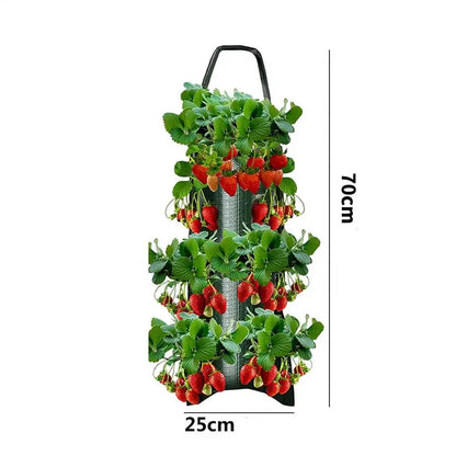 fraisiers en jardiniere polyvalente | Velora