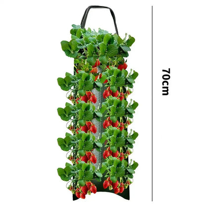 fraisiers en jardiniere polyvalente | Velora