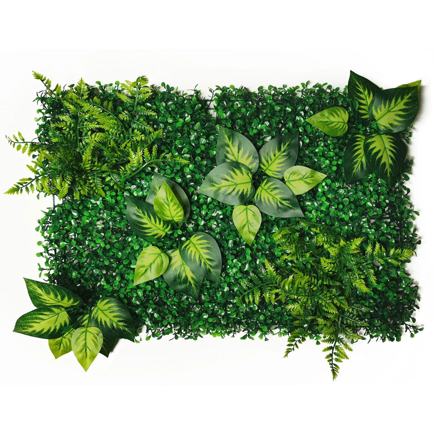 mur végétal accoustique | Mirva