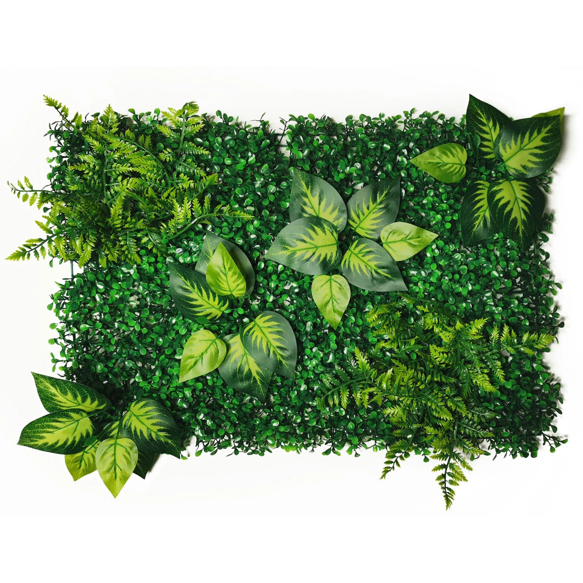 mur végétal accoustique | Mirva