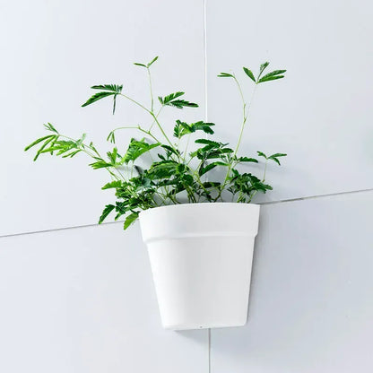 jardinière balcon support | Tynora