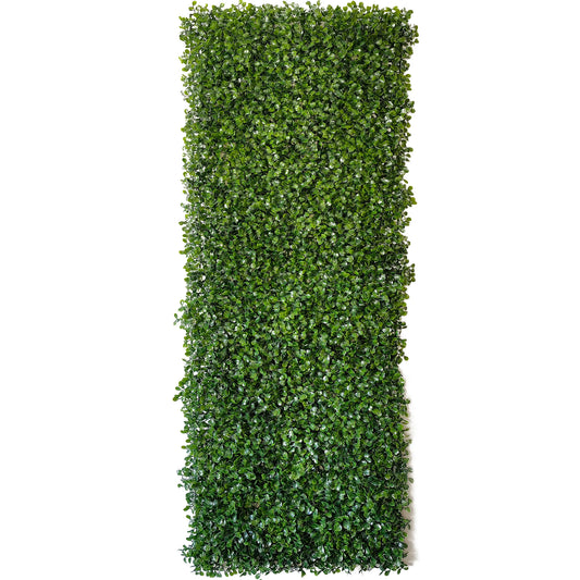 mur végétal design | Arven