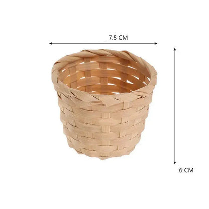 jardinière de bambou | Novirae