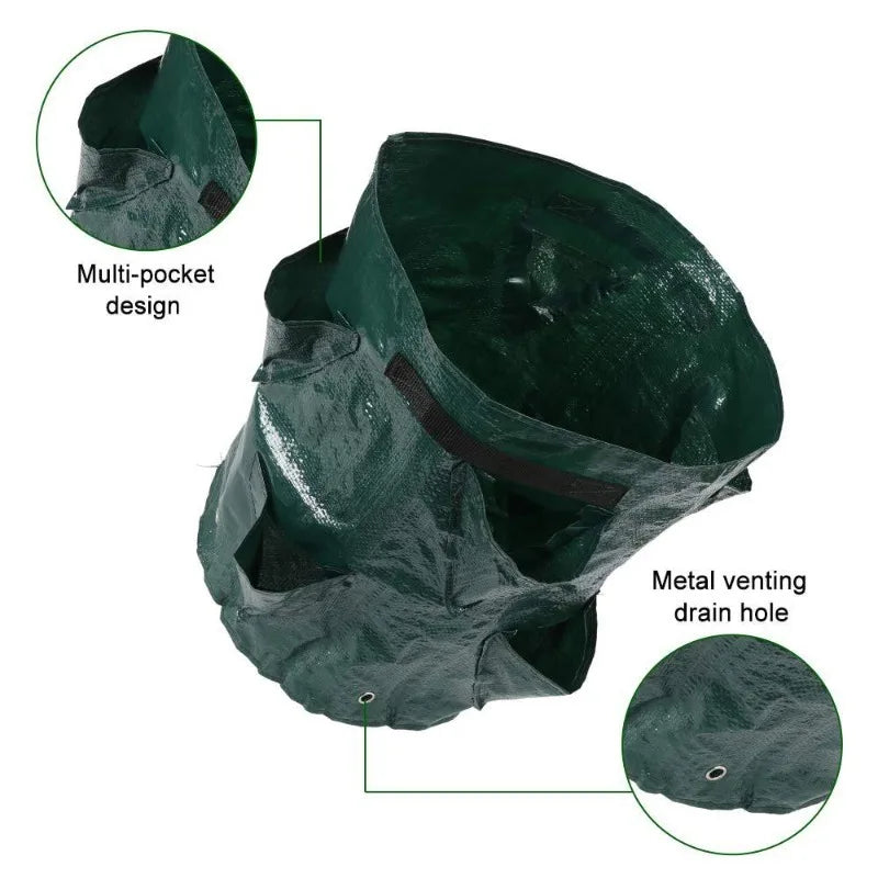 Jardinière fraisier | Loryal