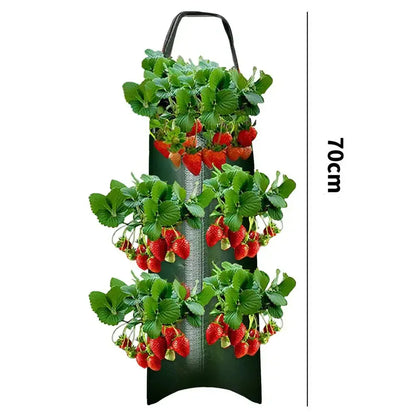 fraisiers en jardiniere polyvalente | Velora