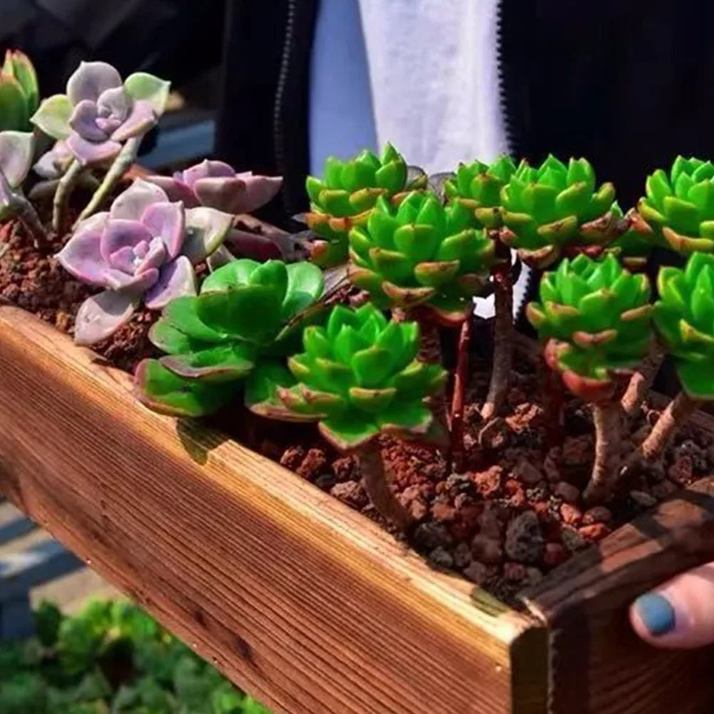 Jardinière balcon potager | Arvenis