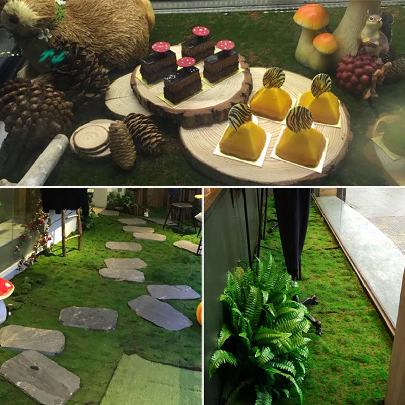 Mur de mousse végétale | Cylis