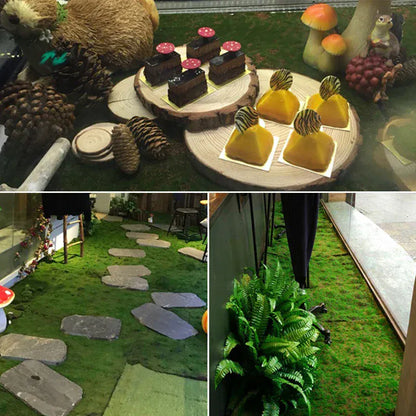 mur mousse végétale | Cylis