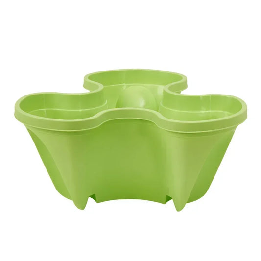 fraisier jardiniere | Sylvane