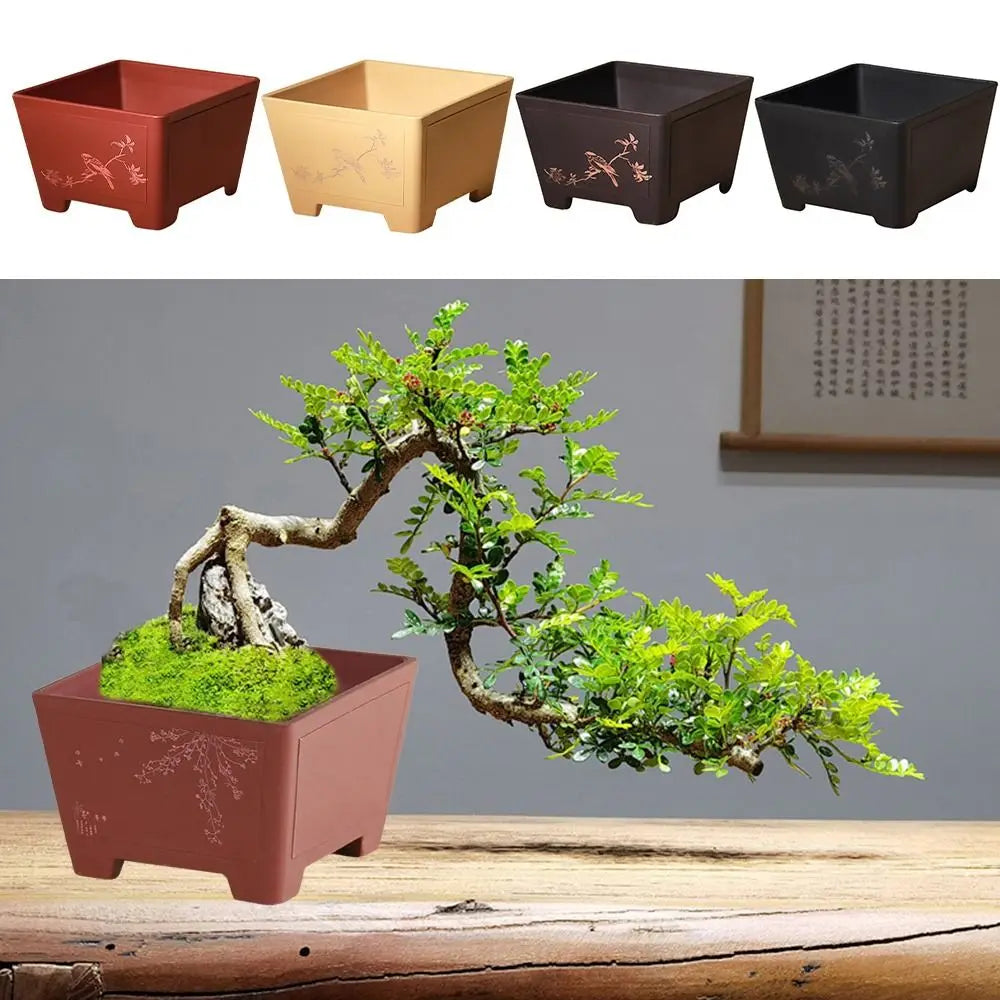 Jardinière d'intérieur | Style moderne et épuré