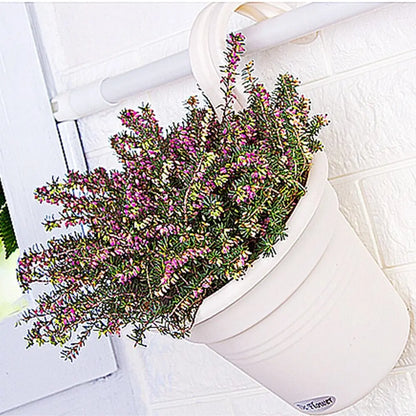 jardinière d'intérieur Déco | Arvenya