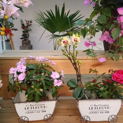 jardinières de balcons | Thavren