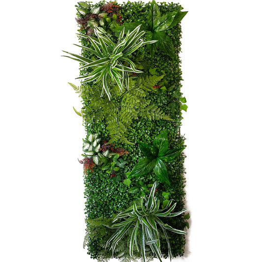 mur végétal extérieur clôture | Varion