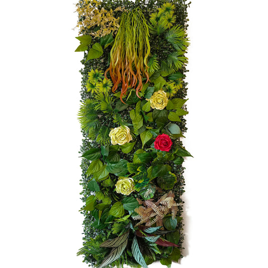 mur végétal maison | Alenya