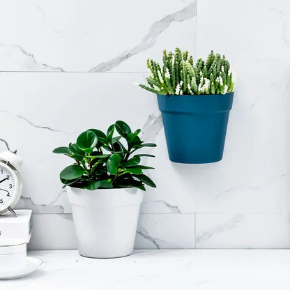 jardiniere balcon | idéale pour toutes les saisons