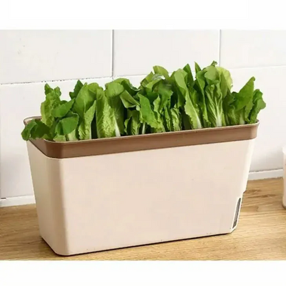 grande jardinière rectangulaire | Sylvane