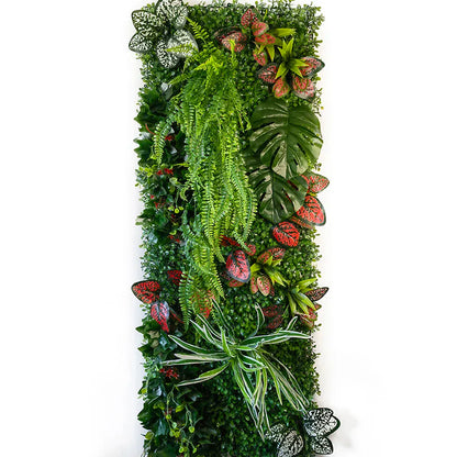 mur végétal intérieur cuisine | Loréna